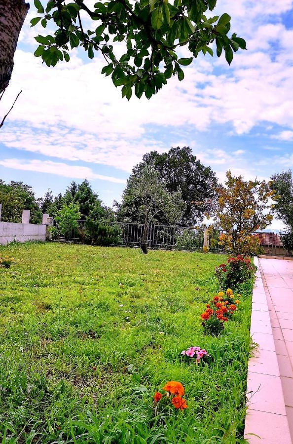 Villa Markic Drvenik  Eksteriør bilde